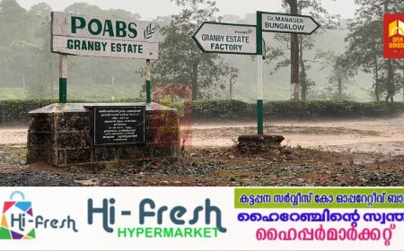 വേനൽ വറുതിയുടെ പിടിയിൽ അമർന്ന് തോട്ടം തൊഴിലാളികൾക്ക്  മൂന്ന് മാസത്തിലധികമായി ശമ്പളം ഇല്ല  ; ഇടുക്കി പീരുമേട്ടിലെ തോട്ടം തൊഴിലാളികൾ സമരത്തിലേക്ക്