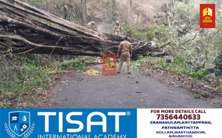 അയ്യപ്പൻകോവിൽ ആലടി -പൂവന്തിക്കുടി റോഡിൽ വൻമരം വീണ് ഗതാഗതം തടസപ്പെട്ടു