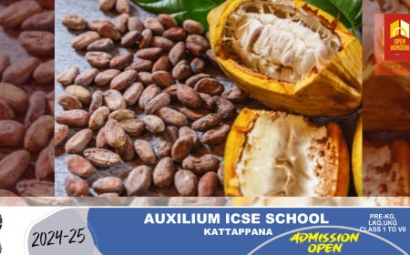 കൊക്കോവില ഒരാഴ്ച്ചക്കിടെ പാതിയായി കുറഞ്ഞു