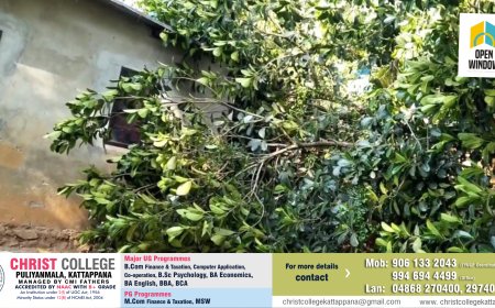 കട്ടപ്പന സുവർണ്ണഗിരിയിൽ  മരത്തിന്റെ ശിഖരം   വീടിനു മുകളിലേക്ക് ഒടിഞ്ഞുവീണു.അപകടത്തിൽ വീട്ടിൽ ഉണ്ടായിരുന്ന യുവതി രക്ഷപ്പെട്ടത് തലനാരിഴക്ക്