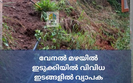 വേനൽ മഴയിൽ ഇടുക്കിയിൽ വിവിധഇടങ്ങളിൽ വ്യാപക നാശനഷ്ടം