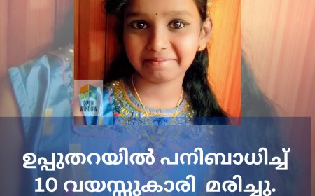 ഉപ്പുതറയിൽ പനിബാധിച്ച് 10 വയസ്സുകാരി  മരിച്ചു