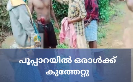 പൂപ്പാറയിൽ കത്തിക്കുത്ത്;  ഒരാൾക്ക് കുത്തേറ്റു