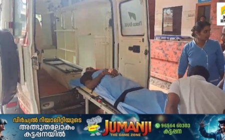 ഓടികൊണ്ടിരുന്ന ജീപ്പിന് മുകളിൽ മരം വീണ് രണ്ട് പേർക്ക് പരുക്ക്