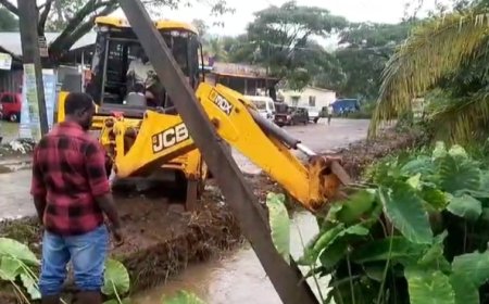 കട്ടപ്പന വലിയകണ്ടം തോട്ടിൽ ശുചീകരണം നടത്തി