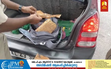 ഇടുക്കിയിൽ രണ്ട് കേസുകളിലായി എക്സൈസ് സംഘം 14 കിലോ കഞ്ചാവ് പിടികൂടി