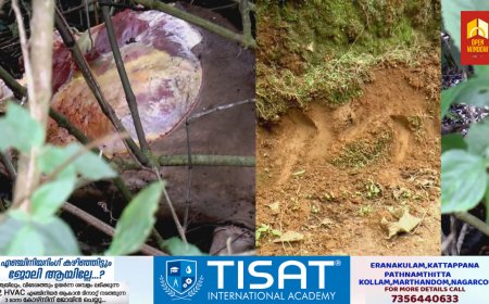 ഇടുക്കി മൂന്നാറില്‍ വീണ്ടും വളര്‍ത്തുമൃഗത്തിന് നേരെ കടുവയുടെ ആക്രമണം.കടലാർ വെസ്റ്റ് ഡിവിഷനില്‍ ഗർഭണി പശുവിനെ പുലി ആക്രമിച്ച് കൊലപ്പെടുത്തി