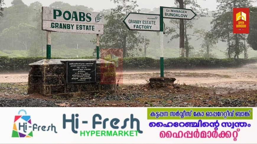വേനൽ വറുതിയുടെ പിടിയിൽ അമർന്ന് തോട്ടം തൊഴിലാളികൾക്ക് മൂന്ന് മാസത്തിലധികമായി ശമ്പളം ഇല്ല ; ഇടുക്കി പീരുമേട്ടിലെ തോട്ടം തൊഴിലാളികൾ സമരത്തിലേക്ക്
