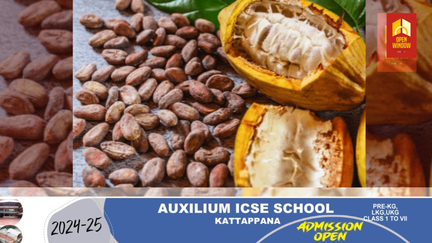 കൊക്കോവില ഒരാഴ്ച്ചക്കിടെ പാതിയായി കുറഞ്ഞു