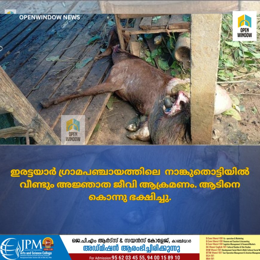 ഇരട്ടയാർ ഗ്രാമപഞ്ചായത്തിലെ നാങ്കുതൊട്ടിയിൽ വീണ്ടും അജ്ഞാത ജീവി ആക്രമണം
