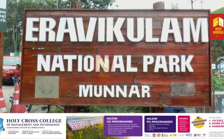 മൂന്നാറില്‍ വഴിയോര വില്‍പ്പനശാലകളില്‍ മോഷണം ആവര്‍ത്തിക്കപ്പെടുന്നു ; പോലീസിനെതിരെ വിമര്‍ശനം