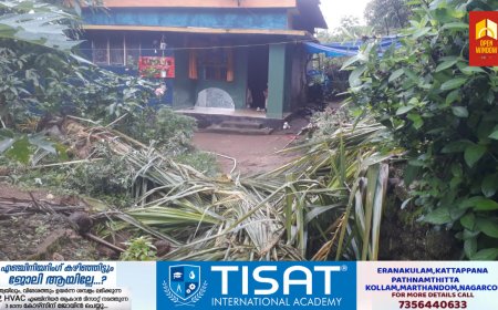 പീരുമേട് ജനവാസ മേഖലയിൽ വീണ്ടും കാട്ടാന ശല്യം