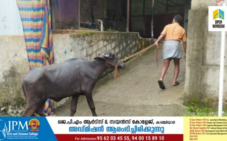 വണ്ടിപ്പെരിയാർ വള്ളക്കടവിൽ ഗ്രാമ പഞ്ചായത്ത് സ്റ്റോപ്പ് മെമ്മോ നൽകിയ അറവുശാല വീണ്ടും പ്രവർത്തിക്കുന്നതായി പ്രദേശവാസികളുടെ പരാതി