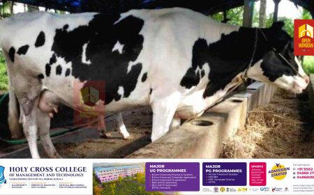 ഉത്പാദനച്ചിലവ് വര്‍ധിച്ച സാഹചര്യത്തില്‍ പാല്‍വില വര്‍ധിപ്പിക്കാന്‍ സര്‍ക്കാര്‍ ഇടപെടല്‍ വേണമെന്ന് ആവശ്യം