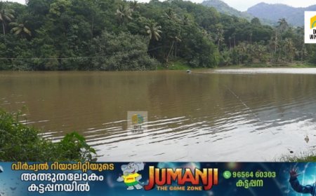 കല്ലാര്‍കുട്ടി ജലാശയത്തിന് കുറുകെ   തൂക്കുപാലം നിര്‍മ്മിക്കാന്‍ സര്‍ക്കാര്‍ ഇടപെടല്‍ വേണമെന്ന ആവശ്യത്തിന് വീണ്ടും ശക്തിയാര്‍ജ്ജിക്കുന്നു