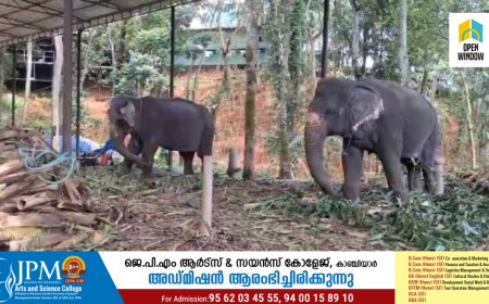 ഇടുക്കി അടിമാലിയിലെ  ആനസവാരി  കേന്ദ്രത്തിലെ പാപ്പാനെ ആന ചവിട്ടി കൊലപ്പെടുത്തിയ സംഭവത്തിൽ വനം വകുപ്പ് കേസെടുത്തു
