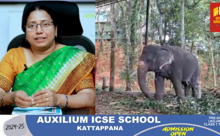 അനധികൃത  ആനസവാരി കേന്ദ്രങ്ങളുടെ പ്രവർത്തനം കർശനമായി തടയും : ജില്ലാ കലക്ടർ