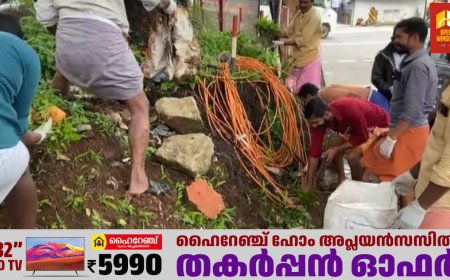 കട്ടപ്പന ഇരുപതേക്കറിൽ ശുചീകരണം നടത്തി