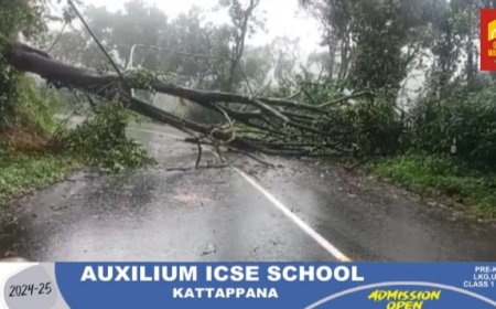 ഇടുക്കിയിൽ ശക്തമായ മഴ തുടരുന്നു