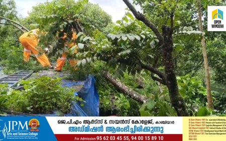 കട്ടപ്പന സ്കൂൾ കവലയ്ക്ക് സമീപം  വീടിന് മുകളിലേക്ക് വൻ മരം കടപുഴകി വീണ് നാശനഷ്ടം