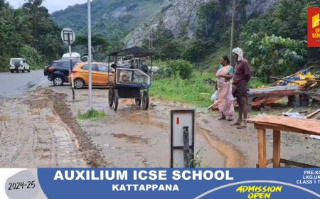 ജില്ലാ ആസ്ഥാനത്ത് ദേശീയ പാതയോരത്തെ കൈയ്യേറ്റങ്ങൾ ഒഴിപ്പിച്ചു. അടിമാലി കുമളി ദേശീയ പാതയിൽ ചെറുതോണി 
മുതൽ ആലിൻചുവട് വരെയുള്ള ഭാഗത്തേ ഷെഡ്ഡുകളും, കടകളുമാണ് റവന്യൂ ഉദ്യോഗസ്ഥരും പോലീസും ചേർന്ന്   ഒഴിപ്പിച്ചത്