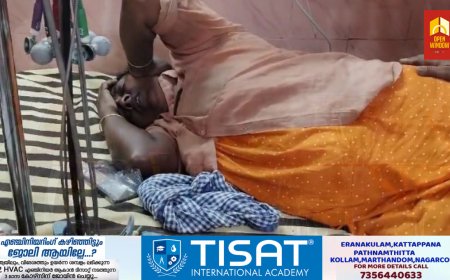 കടന്നലിന്റെ കുത്തേറ്റ്  എസ്റ്റേറ്റ് തൊഴിലാളിക്ക് പരിക്കേറ്റു