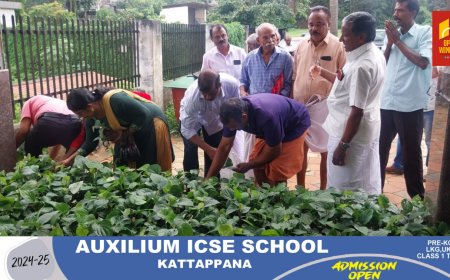 കട്ടപ്പന മുനിസിപ്പാലിറ്റിയിൽ ഞാറ്റുവേല ചന്തയുടെയും കർഷക സഭയുടെയും ഉത്ഘാടനം നടന്നു.ചടങ്ങിൽ വണ്ടിപ്പെരിയാർ കേരളാ വെജിറ്റബിൾ ഫാമിൽ ഉത്പാദിപ്പിച്ച കുരുമുളക് തൈകൾ വിതരണം ചെയ്തു