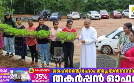 ഓണത്തിനൊരുക്കമായി ചെണ്ടുമല്ലി പൂവ് കൃഷി