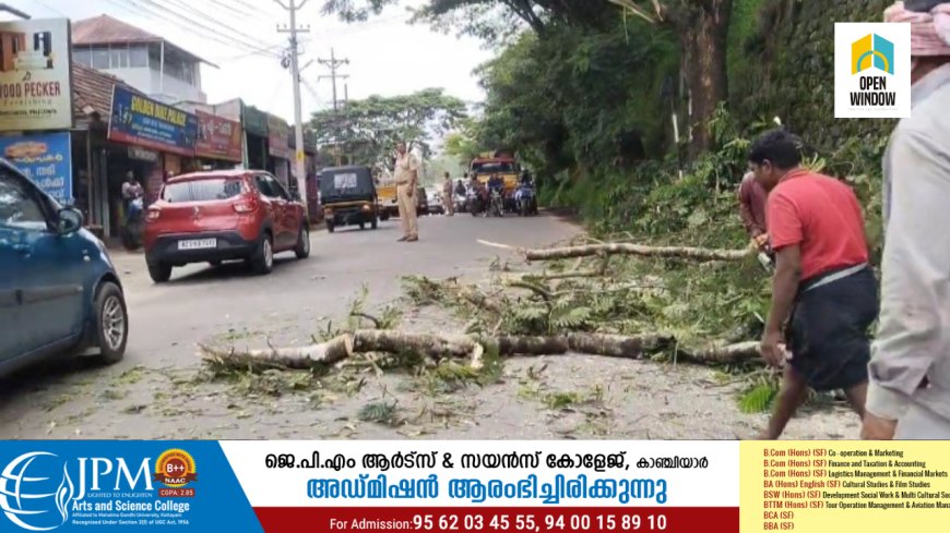 കട്ടപ്പന ഇടുക്കി കവലിൽ അപകട ഭീഷണി ഉയർത്തി നിന്നിരുന്ന മരങ്ങളുടെ ചില്ലകൾ വെട്ടിമാറ്റാൻ നടപടി