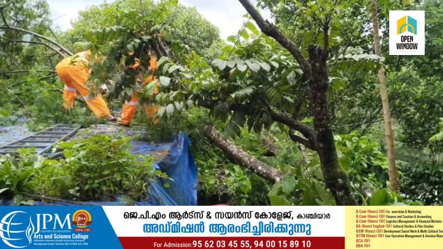 കട്ടപ്പന സ്കൂൾ കവലയ്ക്ക് സമീപം  വീടിന് മുകളിലേക്ക് വൻ മരം കടപുഴകി വീണ് നാശനഷ്ടം