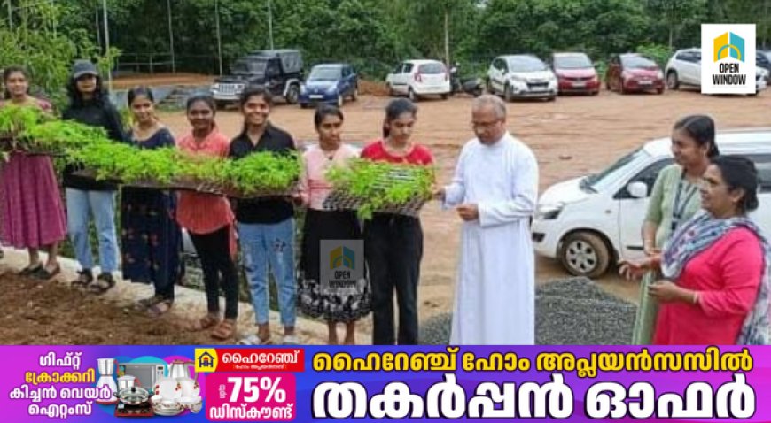 ഓണത്തിനൊരുക്കമായി ചെണ്ടുമല്ലി പൂവ് കൃഷി