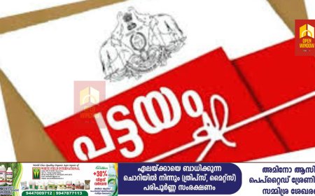 മലയോര പട്ടയം വിവരശേഖരണം :  ജൂലൈ 25 വരെ അപേക്ഷ നൽകാം