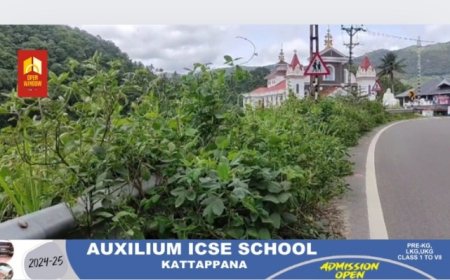 മലയോര ഹൈവേയുടെ  നിർമാണം പൂർത്തിയായ ഭാഗത്തെ റോഡിന്റെ ഇരുവശങ്ങളും കാടു പടലങ്ങൾ കയ്യടക്കി