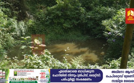 കൊച്ചി- ധനുഷ്‌കോടി ദേശീയപാതയിൽ ബോഡിമെട്ടിന് സമീപം തോട്ടം തൊഴിലാളികൾ ആശ്രയിക്കുന്ന കുടിവെള്ളത്തിലേക്ക്   കക്കൂസ് മാലിന്യം നിക്ഷേപിക്കുന്നുവെന്ന്    പരാതി