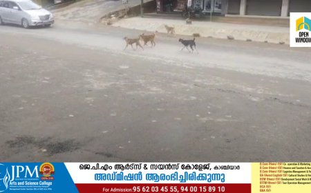 കാഞ്ചിയാർ പഞ്ചായത്ത് ഭരണസിരാകേന്ദ്രമായ ലബ്ബക്കടയിൽ തെരുവുനായ ശല്യം രൂക്ഷം