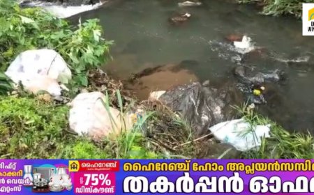 കട്ടപ്പനയാറിൽ മാലിന്യം തള്ളിയ സംഭവത്തിൽ അങ്കമാലി ചീസ് ദ ബോർഡ് കേറ്ററിംഗ് സ്ഥാപനത്തിനെതിരെ കടുത്ത നടപടിയുമായി കട്ടപ്പന നഗരസഭ