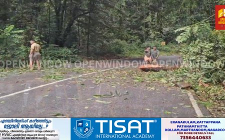 നേര്യമംഗലം വനമേഖലയിലെ ദേശിയപാത നിര്‍മ്മാണവുമായി ബന്ധപ്പെട്ട് വന്നിട്ടുള്ള കോടതി വിധിയില്‍ തന്നോട് ആലോചിക്കാതെ യാതൊരുവിധ മേല്‍ നടപടികളും സ്വീകരിക്കരുതെന്ന് വനംവകുപ്പ് മന്ത്രി എ കെ ശശീന്ദ്രന്‍