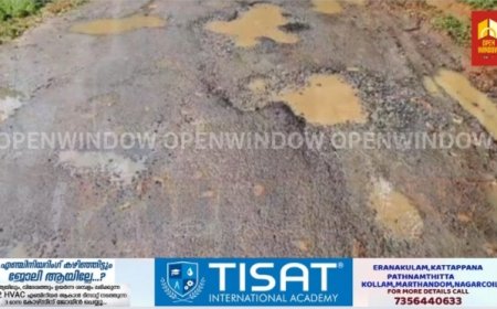 മഴ പെയ്തതോടെ പള്ളിവാസല്‍ പഞ്ചായത്തിലെ പീച്ചാട് പ്ലാമല റോഡിൽ കുണ്ടും കുഴിയും ; നാട്ടുകാർ പ്രതിസന്ധിയിൽ