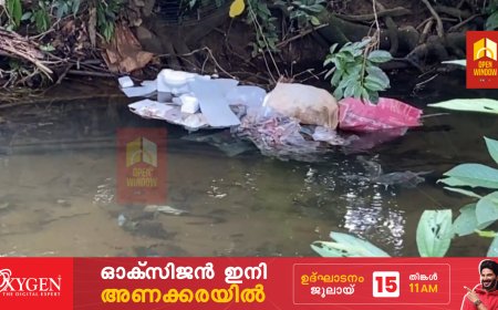 വള്ളക്കടവ് കരിമ്പാനിപ്പടി ചപ്പാത്ത് റോഡിൽ നിന്നും കട്ടപ്പന ആറിലേക്ക് മാലിന്യം തള്ളൽ രൂക്ഷമാകുന്നുവെന്ന് പരാതി