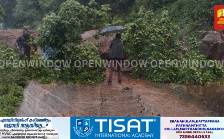 ചെറുതോണി -കട്ടപ്പന റോഡിൽ നാരകക്കാനം ഡബിൾ കട്ടിങ്ങിന് സമീപം മണ്ണും പാറയും റോഡിലേക്ക് പതിച്ച് ഗതാഗത തടസ്സം