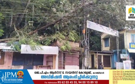 കാഞ്ചിയാർ പള്ളികവലയിൽ  മരത്തിന്റെ വൻ ശിഖരം   വൈദ്യുത ലൈനിലേക്ക് ഒടിഞ്ഞുവീണ് അപകട ഭീക്ഷണി