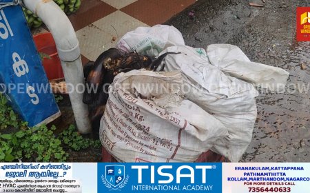 കട്ടപ്പന നഗരസഭയിൽ ഹരിതകർമ്മ സേനയുടെ പ്രവർത്തനം താളം തെറ്റുന്നു