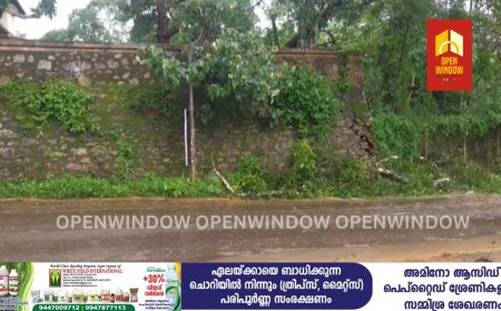 പുറ്റടി ഗവ: ആശുപത്രി  ക്വാർട്ടേഴ്സിന്   സമീപത്ത് മരം വീണ് സംരക്ഷണ ഭിത്തി അപകടാവസ്ഥയിലായി