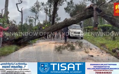 പൂപ്പാറ -കുമളി സംസ്ഥാന പാതയിൽ മരം വീണ് ഗതാഗതം തടസ്സപ്പെട്ടു