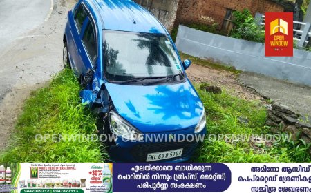 കട്ടപ്പന പാറക്കടവ് റോഡിൽ  പഴയ ബ്ലോക്ക് പഞ്ചായത്ത് മന്ദിരത്തിന് സമീപം വാഹനാപകടം