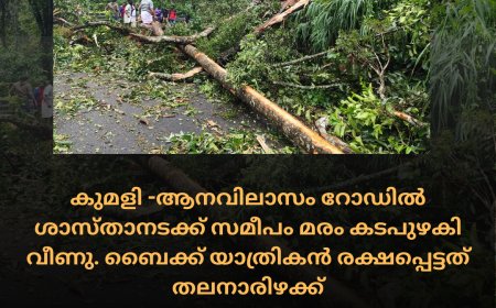 കുമളി -ആനവിലാസം റോഡിൽ ശാസ്താനടക്ക് സമീപം മരം കടപുഴകി വീണു. ബൈക്ക് യാത്രികൻ രക്ഷപ്പെട്ടത് തലനാരിഴക്ക്