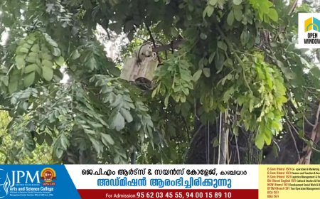 കട്ടപ്പന നഗരത്തിൽ സി സി ടിവി ക്യാമറകൾ സ്ഥാപിക്കണമെന്ന ആവശ്യം ശക്തമാകുന്നു