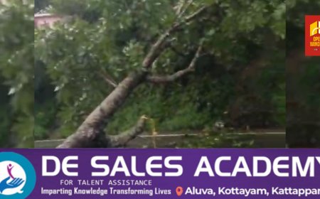 കട്ടപ്പന പുളിയന്മല ഹിൽ ടോപ്പിൽ ശക്തമായ കാറ്റിൽ മരം ഒടിഞ്ഞ് വീണ് ഗതാഗതം തടസ്സപ്പെട്ടു