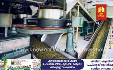 പീരുമേട് പട്ടുമല തേയില ഫാക്ടറിയിൽ തേയില സംസ്കരിക്കുന്ന മെഷിനുള്ളിൽ പെട്ട് തൊഴിലാളി മരിച്ചു