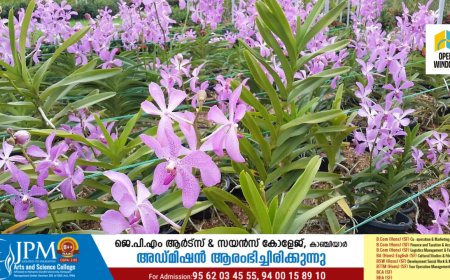 ഇടുക്കിയുടെ ഓര്‍ക്കിഡ് വൈവിധ്യങ്ങളെ സഞ്ചരികള്‍ക്ക് പരിചയപ്പെടുത്താന്‍ ഒരുങ്ങുകയാണ് ടൂറിസം സംരംഭകരുടെ കൂട്ടായ്മ